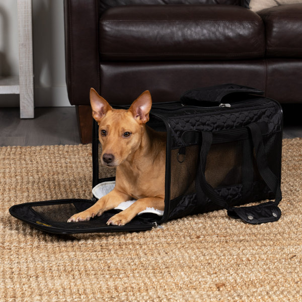 Sherpa Original Deluxe Travel Pet Carrier, Airline Approved